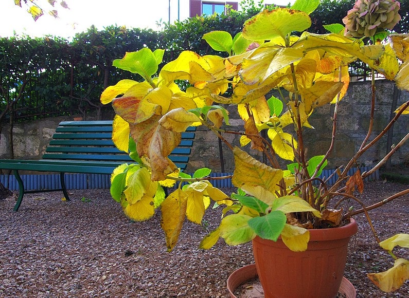 casa affitto montepulciano